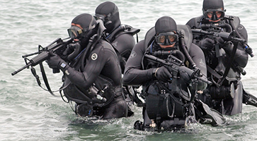 Unsere Top Testsieger - Entdecken Sie die Seal navy entsprechend Ihrer Wünsche